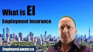 What is EI - Employment Insurance