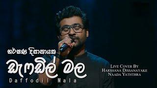 "Daffodil Mala" | ඩැෆඩිල් මල | Harshana Dissanayake | Live Cover | Naada Yaththra