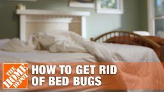 How to Get Rid of Bed Bugs | DIY Pest Control | The Home Depot