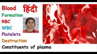 Blood anatomy & physiology in hindi || RBC || WBC || Platelets || composition of blood