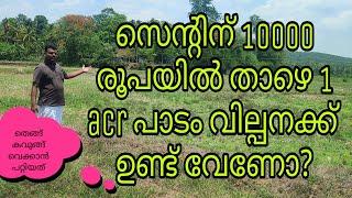 തെങ്ങുകളും കവുങ്ങുകളും വെക്കാൻ പറ്റിയ 1 acr പാടം സെന്റിന് 10000 രൂപയിൽ താഴെ വില്പനക്ക് ഉണ്ട്