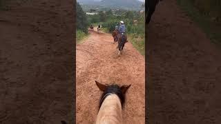 Horseback riding in the Garden of the Gods in Colorado!