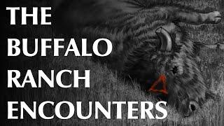 The Buffalo Ranch Encounters