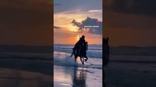 Horse lovers #youtubeshorts #viral #horsepower