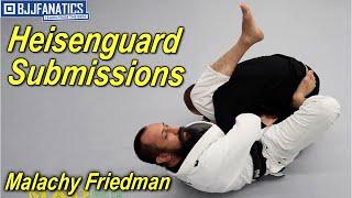 Heisenguard Submissions by Malachy Friedman