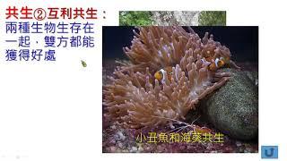國中生物 生物間的交互作用
