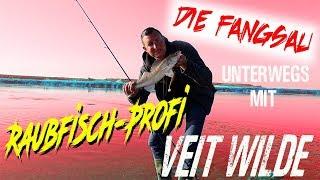 Veit Wilde Tipps vom Raubfisch - Profi für Zander, Wels, Die Fangsau,  Angeln an der Oder vom Ufer