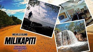 ISLAND LIFE - TIWI ISLANDS - MILIKAPITI - MELVILLE ISLAND - NORTHERN TERRITORY