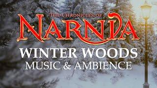 Chronicles of Narnia | Peaceful Winter Woods Music & Ambience in 4K