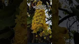 subscribe &Like my channel