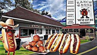 Cheddar Chili Bacon Dog & Puffins?! PA’s Hidden Roadside Gem!
