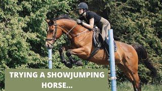 TRYING A SHOWJUMPING HORSE... and bringing him home! || Erin Williams