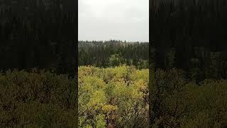 Why did the hunter cross the valley? To get a view from the other side.