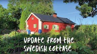 SWEDISH COTTAGE Update: The Garden Tour is Finally Here!