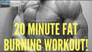 20 Minute Fat Burning Workout!