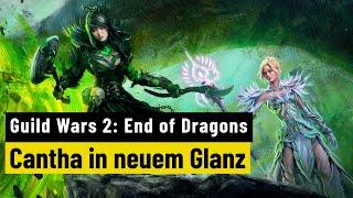 Guild Wars 2: End of Dragons | REVIEW | Die Erweiterung im großen Test