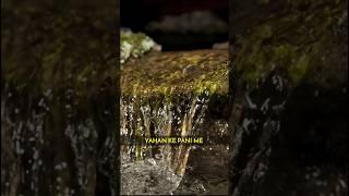 Chamatkar karne wala pani #shorts #youtubeshorts