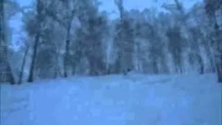Дубрава 2004-05 Нирвана