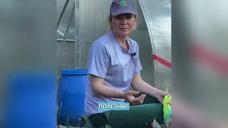 Органическое земледелие, что это такое?