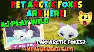 Pet Arctic Foxes Are Now In AJ Play Wild!