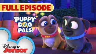 New Year Full Episode  | S4 E4 | Puppy Dog Pals | @disneyjr