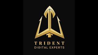 Your Vision, Our Digital Expertise | Trident Digital Experts.