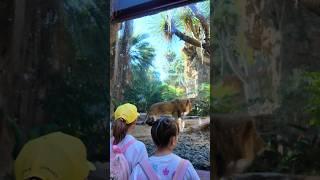 Primer actividad Niños Directores