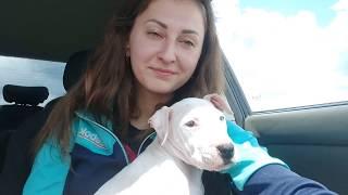 Счастливый день превратился в ночной кошмар, Новый житель нашей семьи заболел
