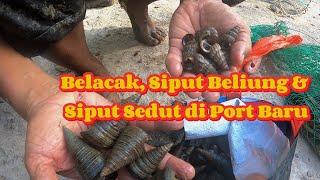 Tajur Belacak di Port Baru // Misi 100 ekor diteruskan // Kelanang #gengdunia #fishing