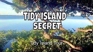 Tidy Island: The Most Bizarre Island in Florida