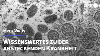 Mpox: Wie gefährlich ist die Virus-Krankheit? | AFP