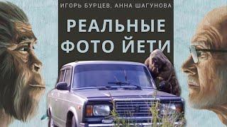 Игорь Бурцев, результаты поисков и исследований Снежного Человека (Йети)