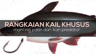 CARA MEMBUAT RANGKAIAN PANCING IKAN PATIN, PALING JITU DAN KUAT