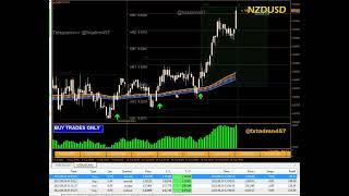 Forex Holy Grail Indicator