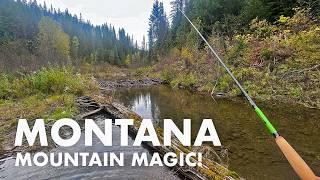 Fishing a Little Montana Creek with TOO MANY Fish in It! (Tenkara Fly Fishing)