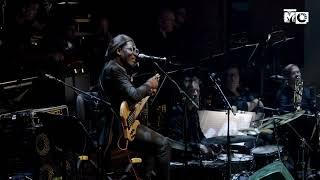 Suninga (Live) - Richard Bona, Metropole Orkest, Vince Mendoza