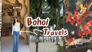 bohol travel vlog '24 ˶ˆ꒳ˆ˵ | the highlights 