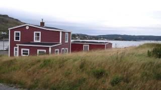 Beginning the trek to the Ferryland lighthouse