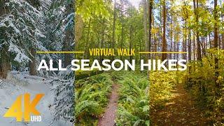 4K Virtual Forest Walk in Summer, Autumn and Winter - All Season Hikes - Episode #1