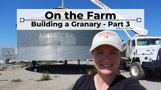 On the Farm - Building a Granary part 3