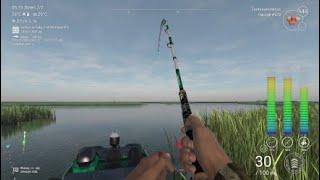 Fishing planet - Mississippi  Unikatowy Buffalo Wielkogebowy