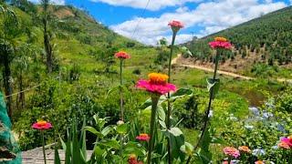 NOSSA HORTA E JARDIM FICAM MELHORES A CADA DIA!