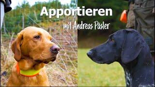 Apportieren - mit Andreas Päsler