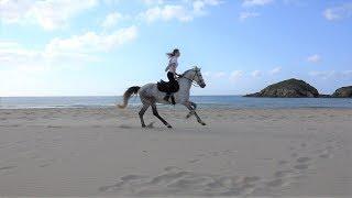 Cavalli al galoppo a  su Giudeu -  Chia -  Sardegna