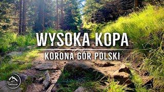Wysoka Kopa - Góry Izerskie - Korona Gór Polski (12/28) 08.2020
