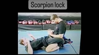 Scorpion Lock Guide