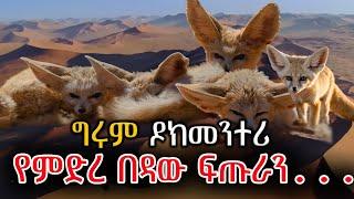 ግሩም ዶክመንተሪ - በረሀ እና ፍጡራኖቹ #GirumDocumetary #GirumTebeje @girumtereka