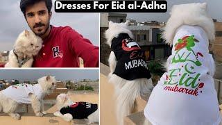 Max & Muffin Ky Eid al-Adha Ky New Dresses A Gaye  ||Rehan & Max