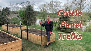 How to Build a Cattle Panel Trellis - Step by Step + What Materials you need