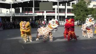 Southern Shaolin International Wushu Academy Lion Dance 1